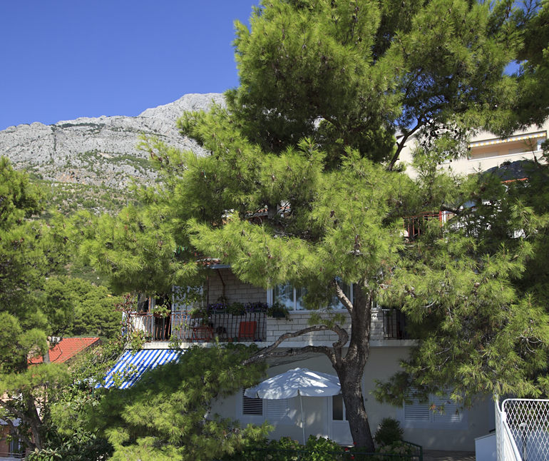 family house Kassa - Baska Voda, Baška Voda